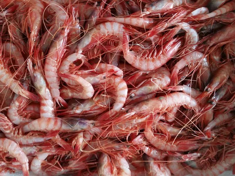 Pescados y Mariscos El Timi Málaga